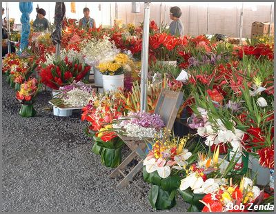 Flower Market